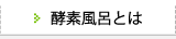 酵素風呂とは